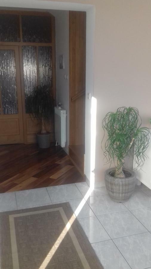 Apartman Branka 라브 외부 사진